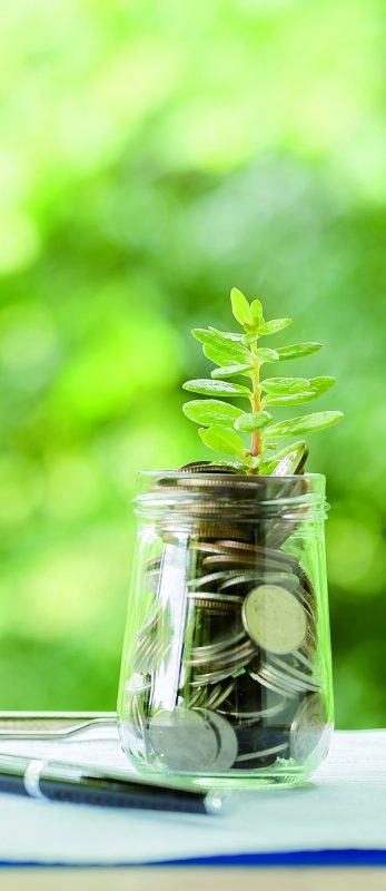 Plant growing from coins in the glass jar on blurred green natural background. copy space for business and financial growth concept.